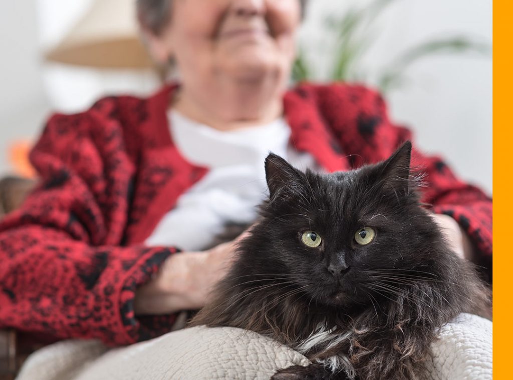 Luonnonläheinen palvelutalo